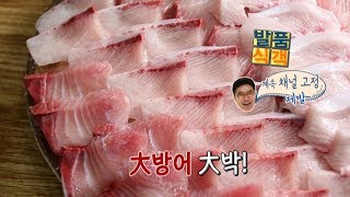 [발품식객] 겨울엔 대방어!!!