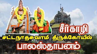 சீர்காழி ஸ்ரீ சட்டநாதசுவாமி ஆலய பாலஸ்தாபனம்| Sirkazhi sattainathar temple.