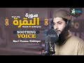 Surah Al-Baqara ( Short Clip ) - Beautiful Recitation - Qari usama siddiqui - Ui Studio