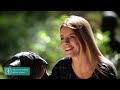 university of veterinary medicine image film