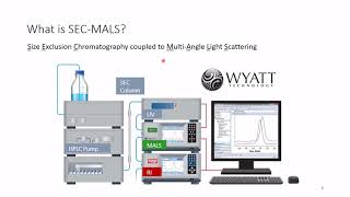 Understanding Absolute Stoichiometry of Oligomeric Protein Complexes Using SEC-MALS