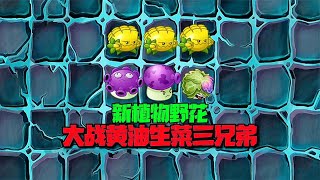 【pvz沙雕配音】新植物野花大战黄油生菜三兄弟，能否成功？