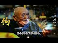 2024生肖運勢，十二生肖屬狗2024年三大喜事，分別是什麼喜事，2024年，屬狗的朋友衝太歲，運勢相比其他生肖低迷許多，十二生肖當中，許多屬相的命運會迎來全新的變化，屬狗雖然在2024年運勢不好