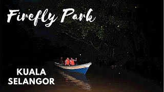 A Visit to Firefly Park in Kuala Selangor  Kuala Lumpur Malaysia