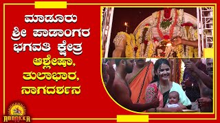 Nagaradhane/Tulabhara/ಮಾಡೂರು ಶ್ರೀ ಪಾಡಾಂಗರ ಭಗವತಿ ಕ್ಷೇತ್ರ -ಆಶ್ಲೇಷಾ,ತುಲಾಭಾರ, ನಾಗದರ್ಶನ