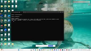 Master Python Basics: Variables & Data Types Explained