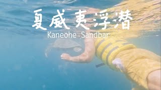 夏威夷Sandbar浮潜 | Kaneohe Sandbar