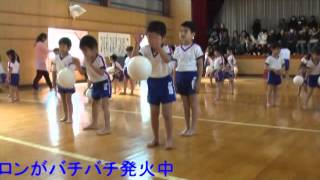 年中児の体育・投げたり 捕ったり【3学期】