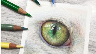 How to Draw Green Cat Eyes in COLORED PENCIL