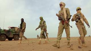 US urges probe into alleged Mali executions