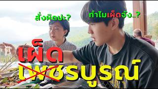 เพชรบูรณ์หรือเผ็ดบูรณ์? อาหารที่นี่เผ็ดมาก 🥵 | เขาค้อ ep.1 펫차분에선 반드시 덜맵게 주문하세요;;