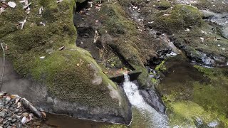 千葉県野湯💕💕君津市県民の森の川又大塚山の沢付近よ〜😆♨️♨️♨️👍