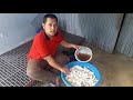 pakan alternatif ikan nila agar cepat besar