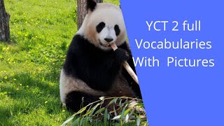 #yct #yct2vocabularies #ijezienc  YCT 2 Flashcards / Summary of YCT 2 with pictures and pinyin