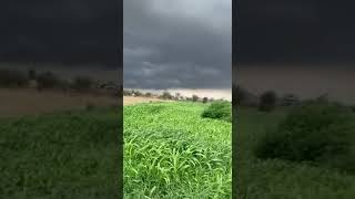 Darkest cloud in my village. beautiful Greenfield.