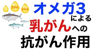 乳ガンとオメガ３脂肪酸の驚くべき関係。【栄養チャンネル信長】