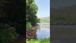 POOKODE LAKE WAYANAD | MUST VISIT PLACES IN WAYANAD | VYTHIRI WAYANAD |PLACES TO VISIT IN WAYANAD