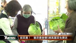 挺菜農！  豐原農會購5噸高麗菜免費送 │T-NEWS聯播網