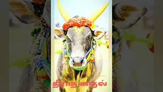 என்றும் தீராத உன் காதல் ஜல்லிக்கட்டு love ஸ்டேட்டஸ்