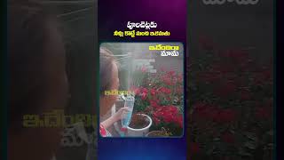 పూలచెట్లకు నీళ్లు కొట్టే ఇకమతు #factshorts#factsintelugu#facts#inovativeideas#innovativetips#ammu