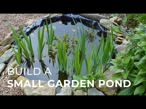 How to build a small Garden Pond How to build a small Garden Pond