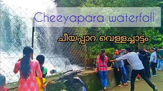 Cheeyapara waterfall | ചീയപ്പാറ വെള്ളച്ചാട്ടം | #cheeyappara #idukki #idukkiworld