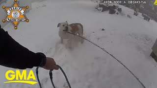 Police officer rescues dog tethered to burning house