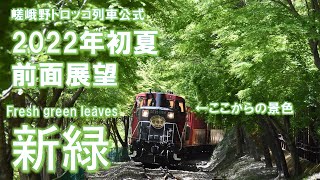 2022年初夏 DE10機関車からの前面展望動画 (The front view of Sagano Romantic Train in early summer, 2022)