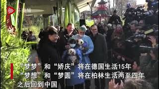 柏林动物园公开双胞胎熊猫宝宝名字：梦想、梦圆