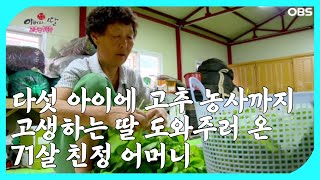 ['아버지와 딸' 10회①] 다섯 아이에 고추 농사까지 고생하는 딸 도와주러 온 71살 친정 어머니