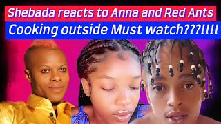 Shebada reacts to Anna and Red Ants cooking outside??!! Must watch