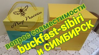 🟨 Нуклеус мини плюс. Совместимость Симбирск и Бакфаст Сибири / 🟨 Beehive for bees