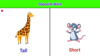 Opposite words in English | opposite words for preschoolers | Educational video | Opposite word.