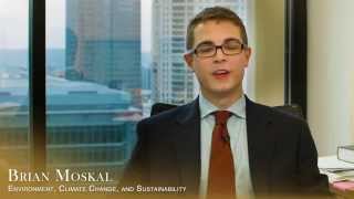 Greenberg Glusker Environmental Attorney Brian Moskal