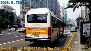 울산시내버스 사진모음31 Chris[Bus Channel]TV