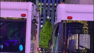 ロックフェラー・センター　クリスマスツリー点灯式前の様子　Rockefeller Center Christmas Tree Lightning Ceremony 2022