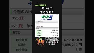 「モレイラやるなあ」Win5実践動画#競馬 #競馬予想 #競馬初心者 #win5予想 #win5 #モレイラ