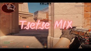 Tsetse MIX | CS2 Highlight