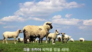 [CCM, 여덟가지 복] 우리는 복이 있다 - 애봉콰이어