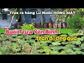 Gặp Nhiều Cảnh Bình Dị Khi Đi Giữa Vùng Quê Vào Buổi Trưa Ở Quê Mình  .