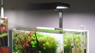 Chihiros aquascape 60cm tank VIVID MINI