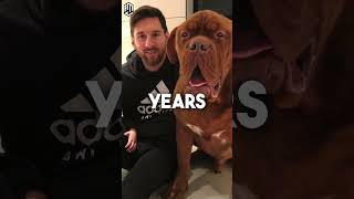 What Happened To Lionel Messi’s Dog ? ⚽️😳 #football #messi #shorts
