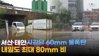 서산·태안 시간당 60mm 물폭탄..내일도 최대 80mm 비｜ TJB 대전·세종·충남뉴스