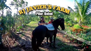 RJ JAVIER'S FARM PILAR BOHOL REVIEW 2019 by Florame Boholana