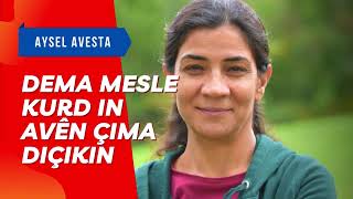 Aysel Avesta: Dema mesele Kurd in, avên çiman diçikin.