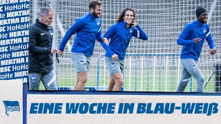 HaHoHe - Eine Woche in Blau-Weiß | 6. Spieltag | Hertha BSC vs. VfL Wolfsburg