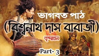 Bhagavat Pat Bangla । Bishonath Das Babaji (Vrindavan) । Part 3