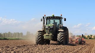 Erpicatura e semina mais / John Deere 6215r / John Deere 6430 premium