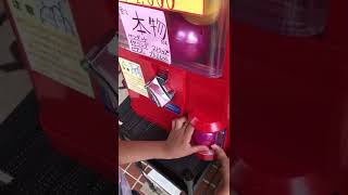 真珠ガチャやってみたよ！♯伊勢神宮　♯1000円ガチャ　♯真珠