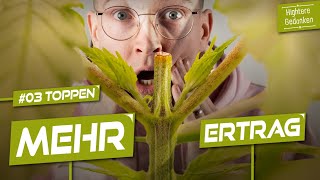 Wir toppen unsere Pflanzen für mehr Ertrag - (Anleitung) Growserie Folge 03
